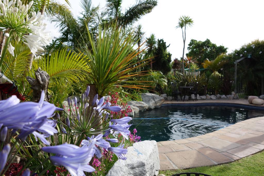 Villachad Guesthouse Kleinmond Exterior photo